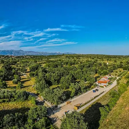 Pet Friendly In Gornja *